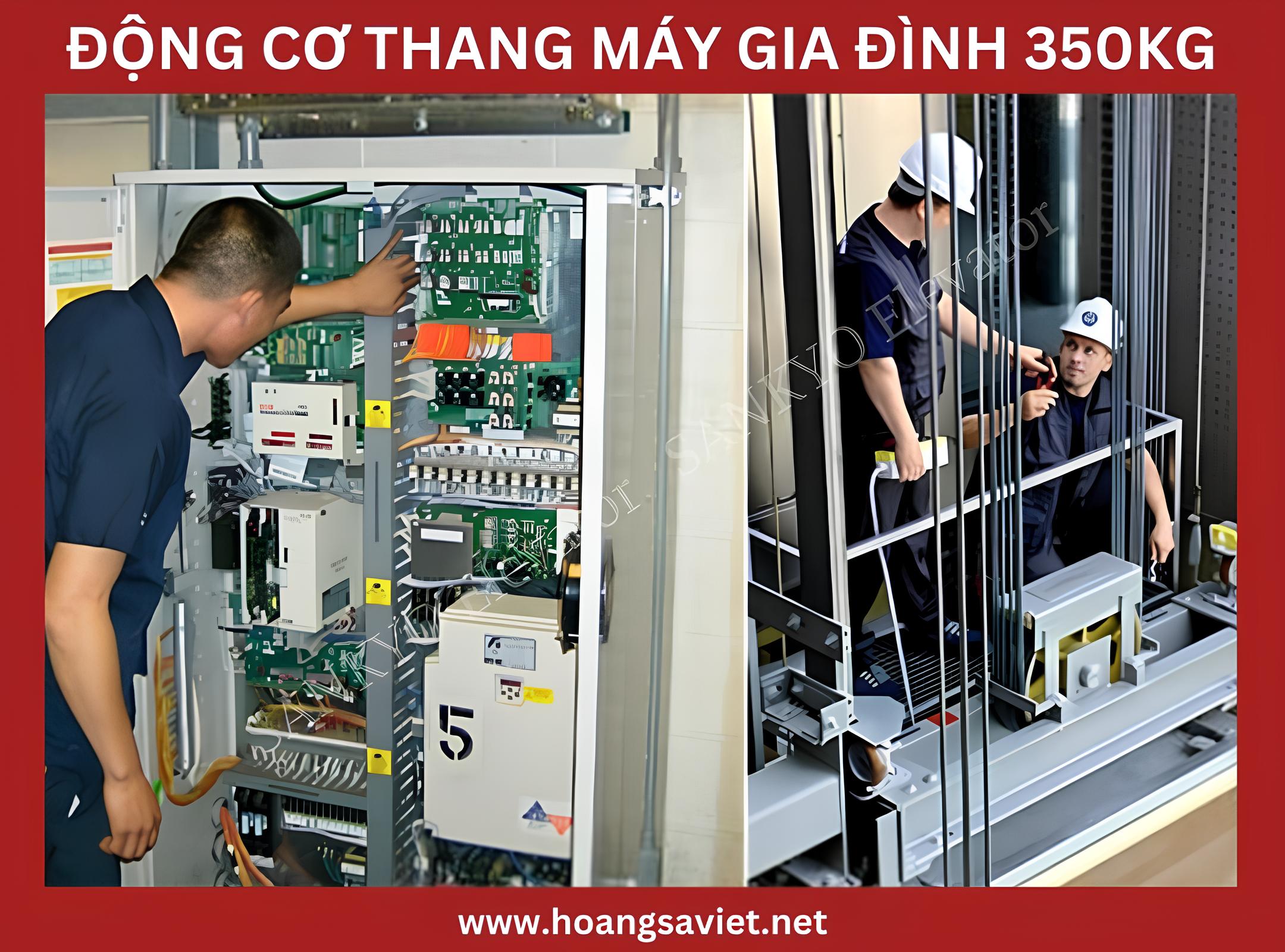 Support staff to maintain 350kg family elevator Support staff to maintain 350kg family elevator