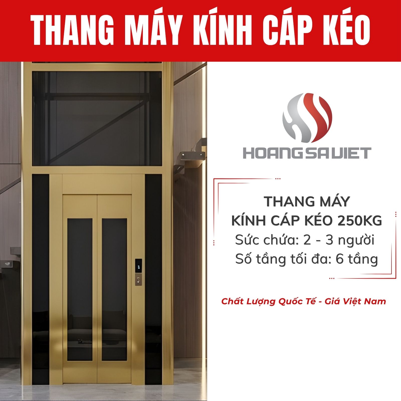 Thang máy kính cáp kéo 250kg