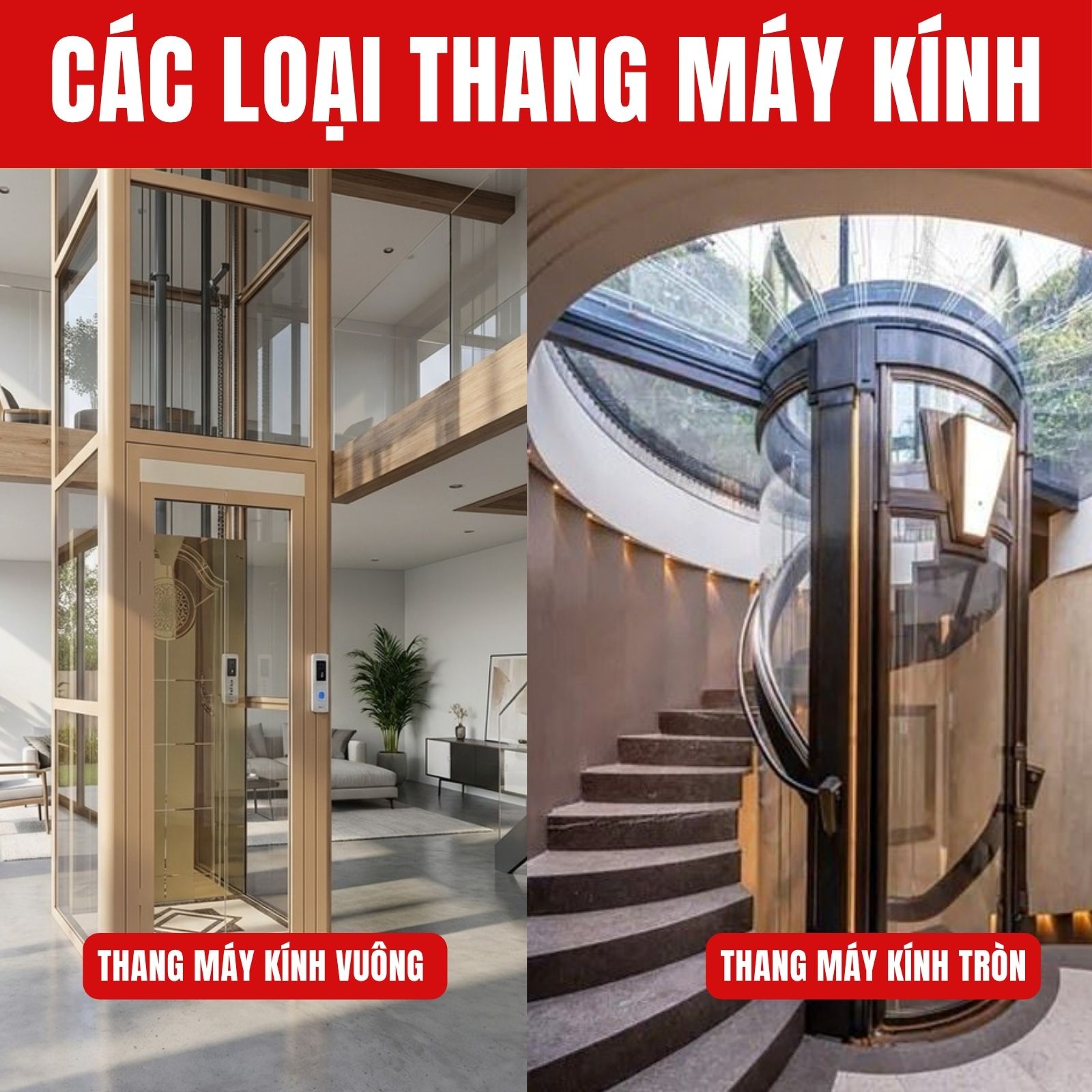 PHÂN LOẠI THANG MÁY KÍNH