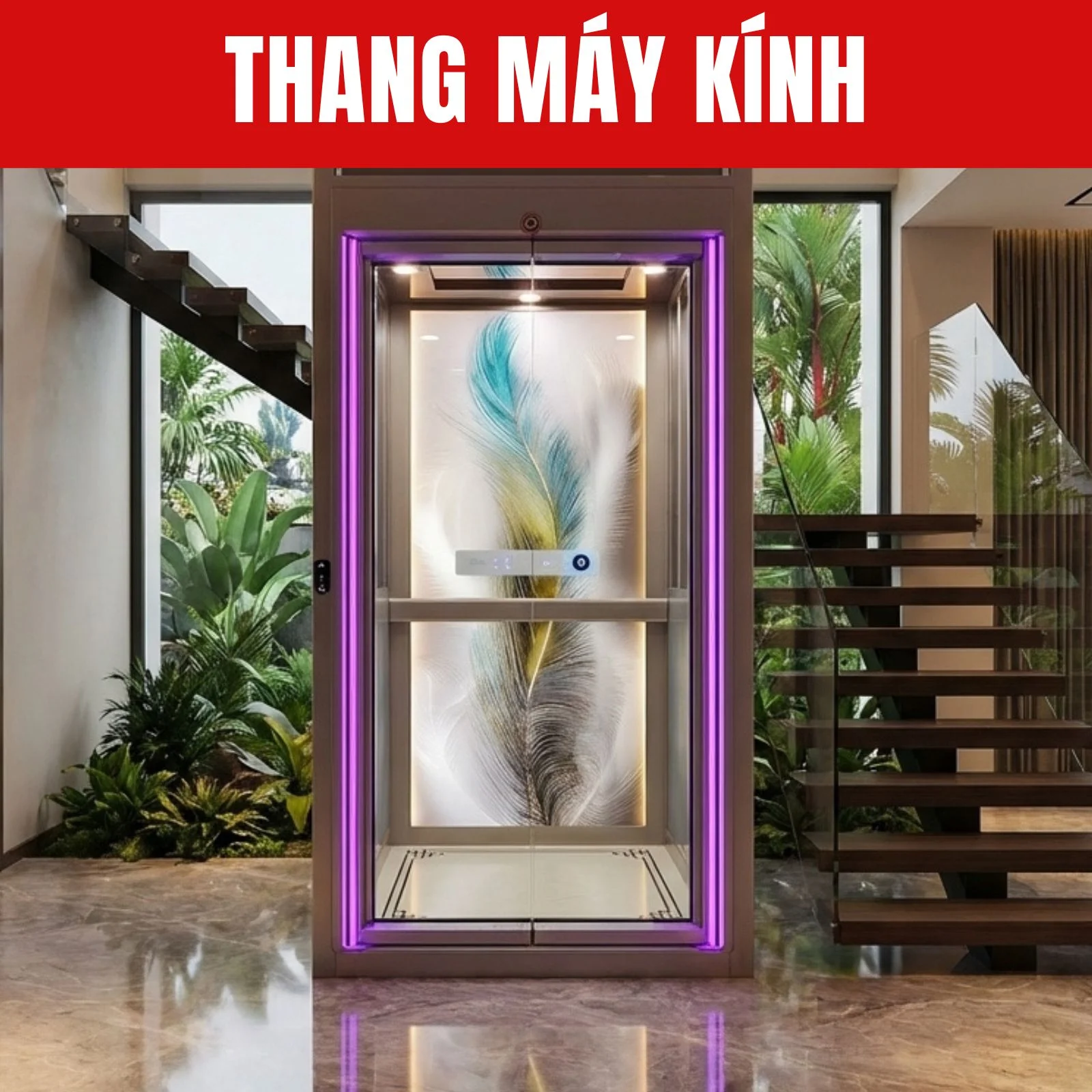 thang máy kính 