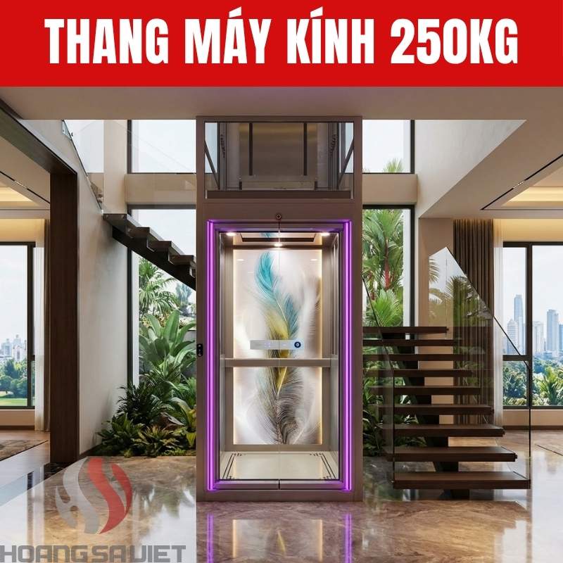 Thang Máy kính 250kg