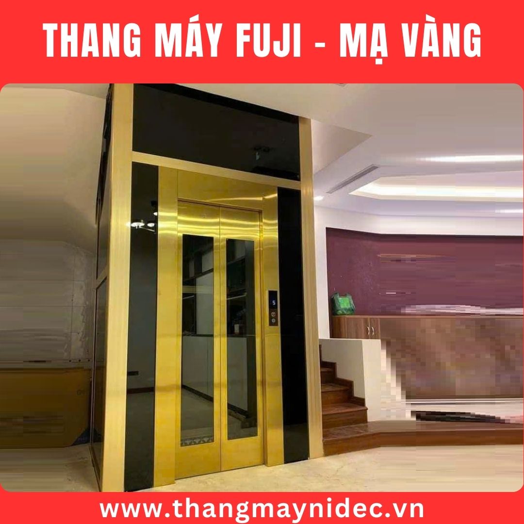 Ảnh minh hoạ thang máy fuji mạ vàng Ảnh minh hoạ thang máy fuji mạ vàng