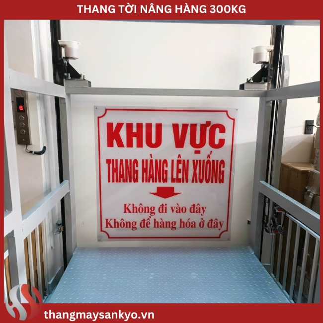 Thang tời nâng hàng hoá 300kg Thang tời nâng hàng hoá 300kg