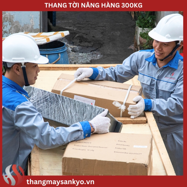 Hoàng Sa Việt lắp đặt thang tời nâng hàng 300kg Hoàng Sa Việt lắp đặt thang tời nâng hàng 300kg