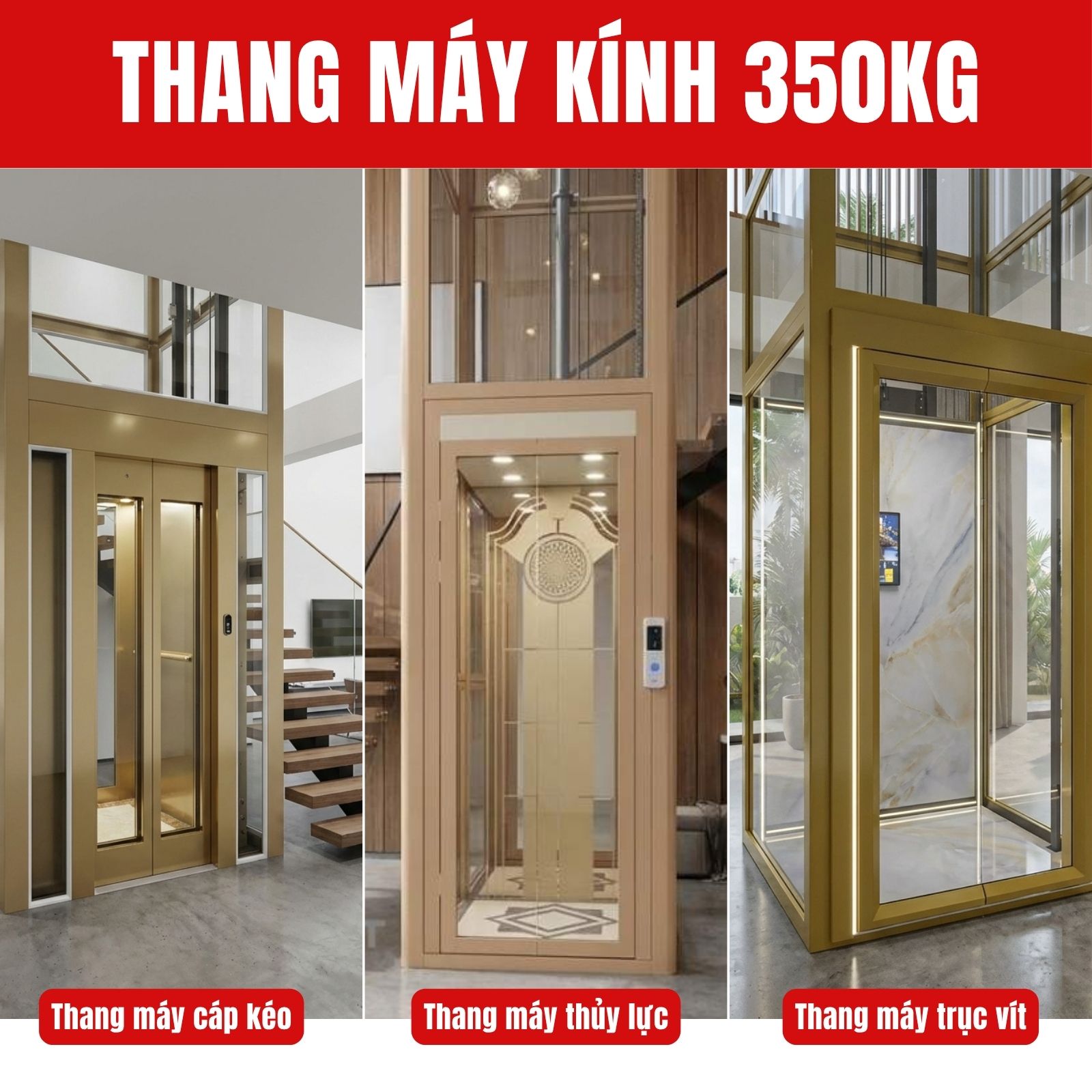 Các loại thang máy kính phổ biến tại Việt Nam 
