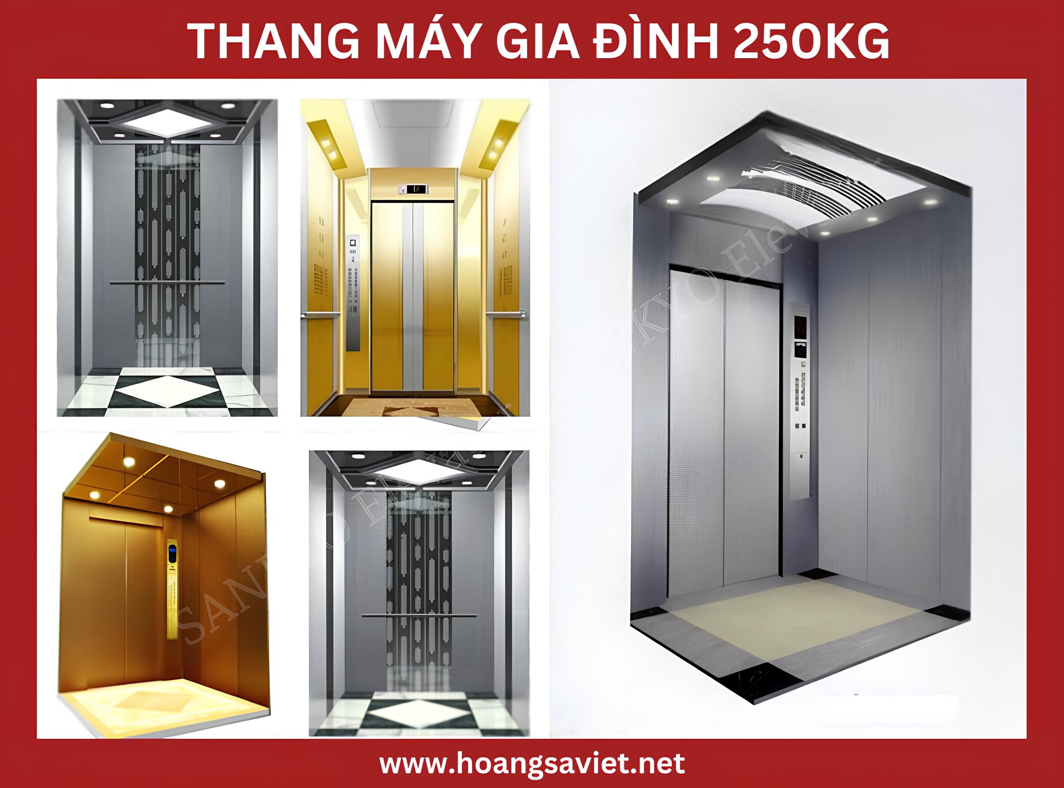 Thang máy gia đình 250kg với cabin nhiều màu sắc Thang máy gia đình 250kg với cabin nhiều màu sắc