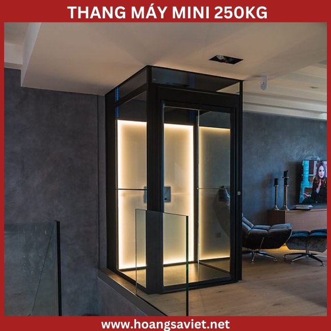 Hình ảnh minh hoạ thang máy mini 250kg Hình ảnh minh hoạ thang máy mini 250kg