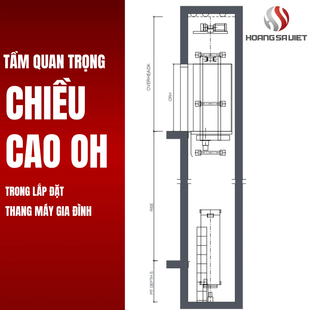 Tầm Quan Trọng Của Chiều Cao OH 
