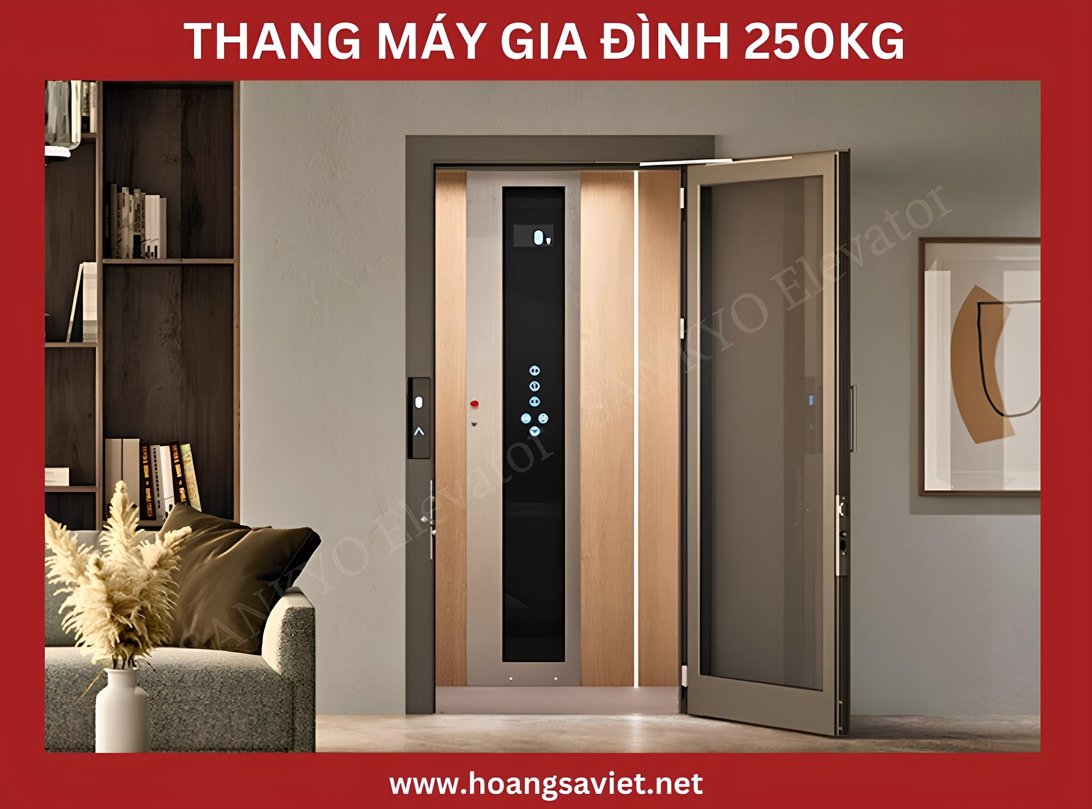 Tham khảo kích thước thang máy gia đình 250kg Tham khảo kích thước thang máy gia đình 250kg
