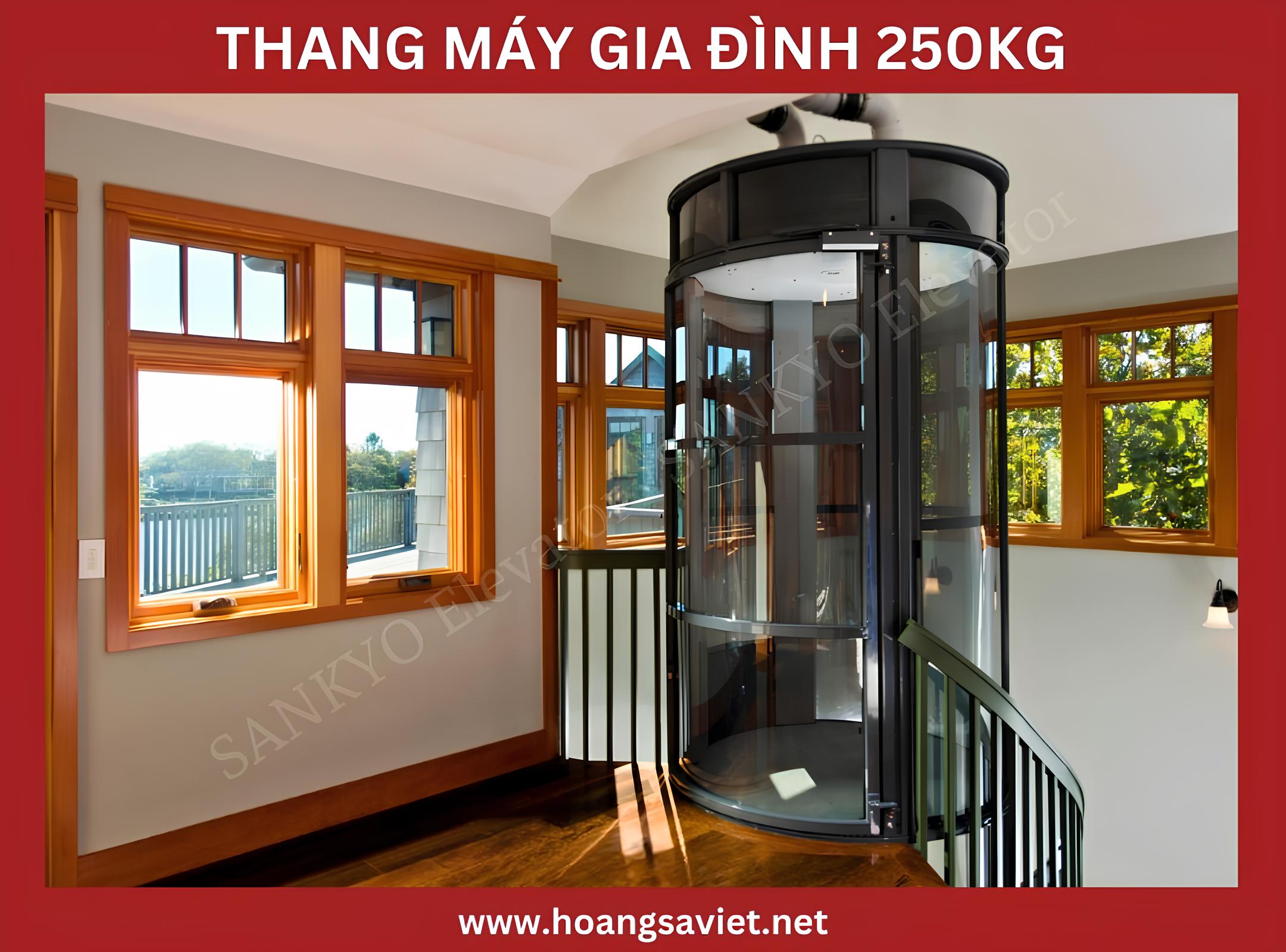 Mẫu thang máy gia đình 250kg ống kính Mẫu thang máy gia đình 250kg ống kính
