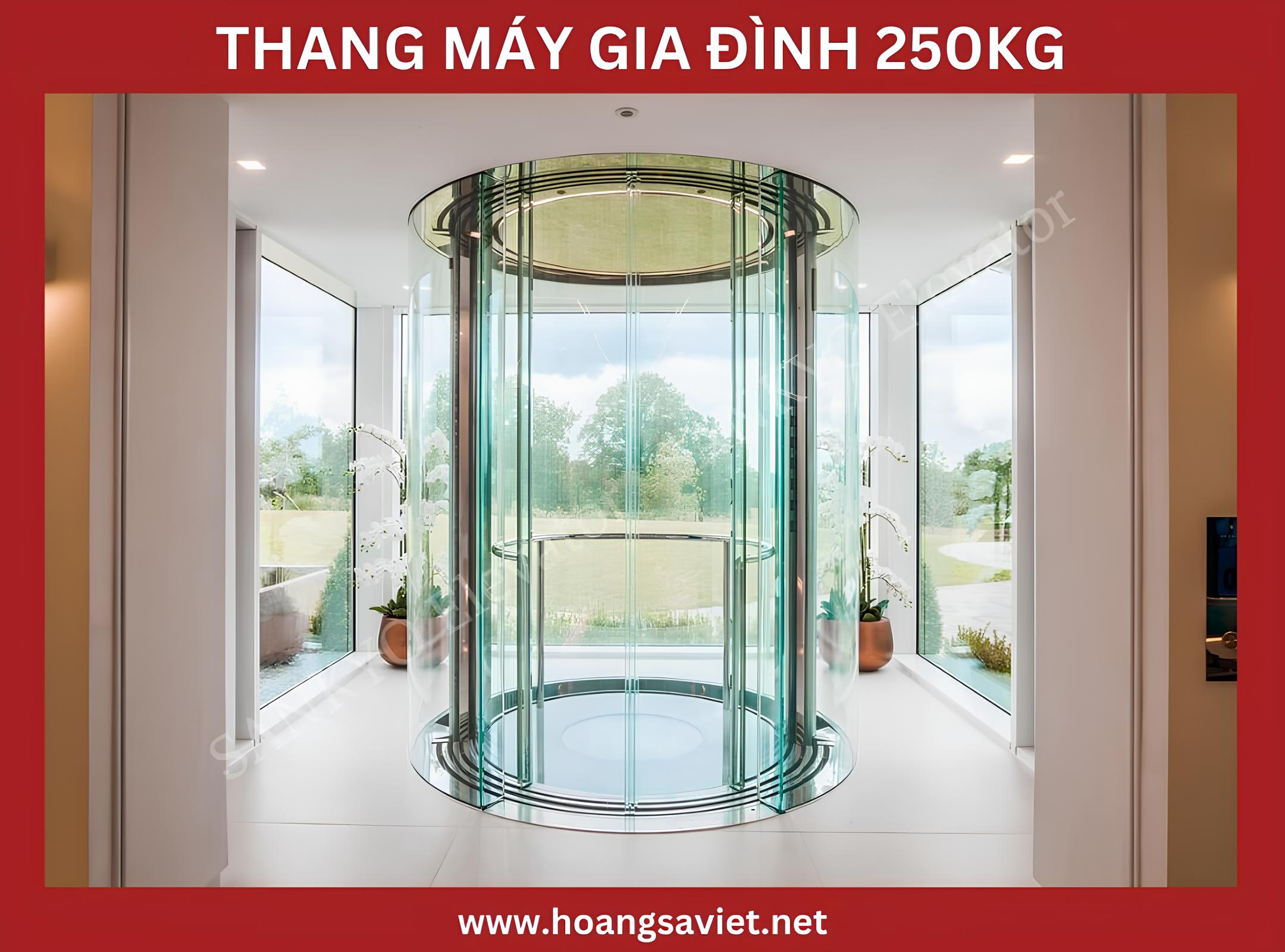 250kg lens family elevator model 250kg lens family elevator model