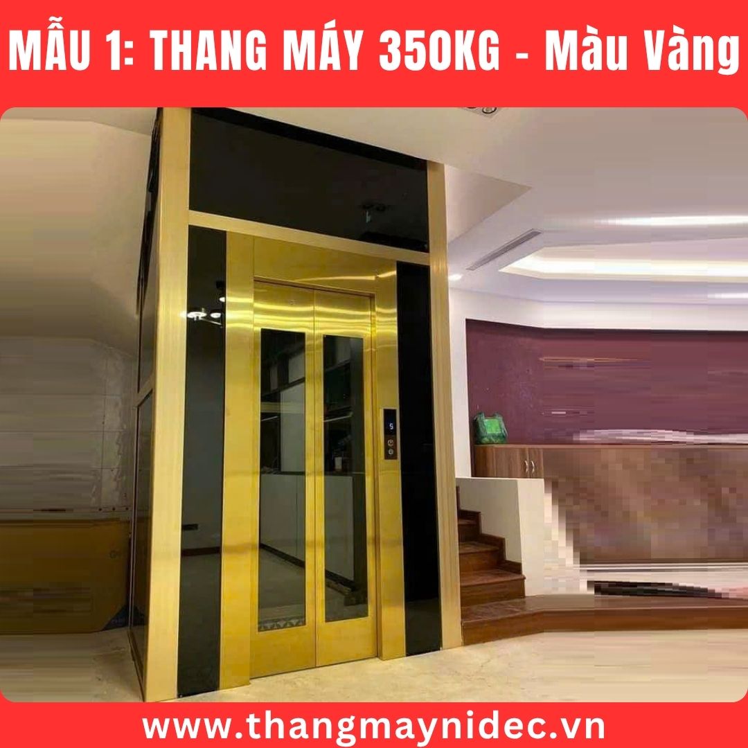 Thang máy gia đình 350kg màu vàng Thang máy gia đình 350kg màu vàng