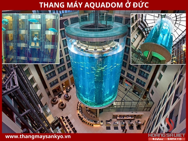 Thang máy AquaDom ở Đức: 17,4 triệu USD Thang máy AquaDom ở Đức: 17,4 triệu USD