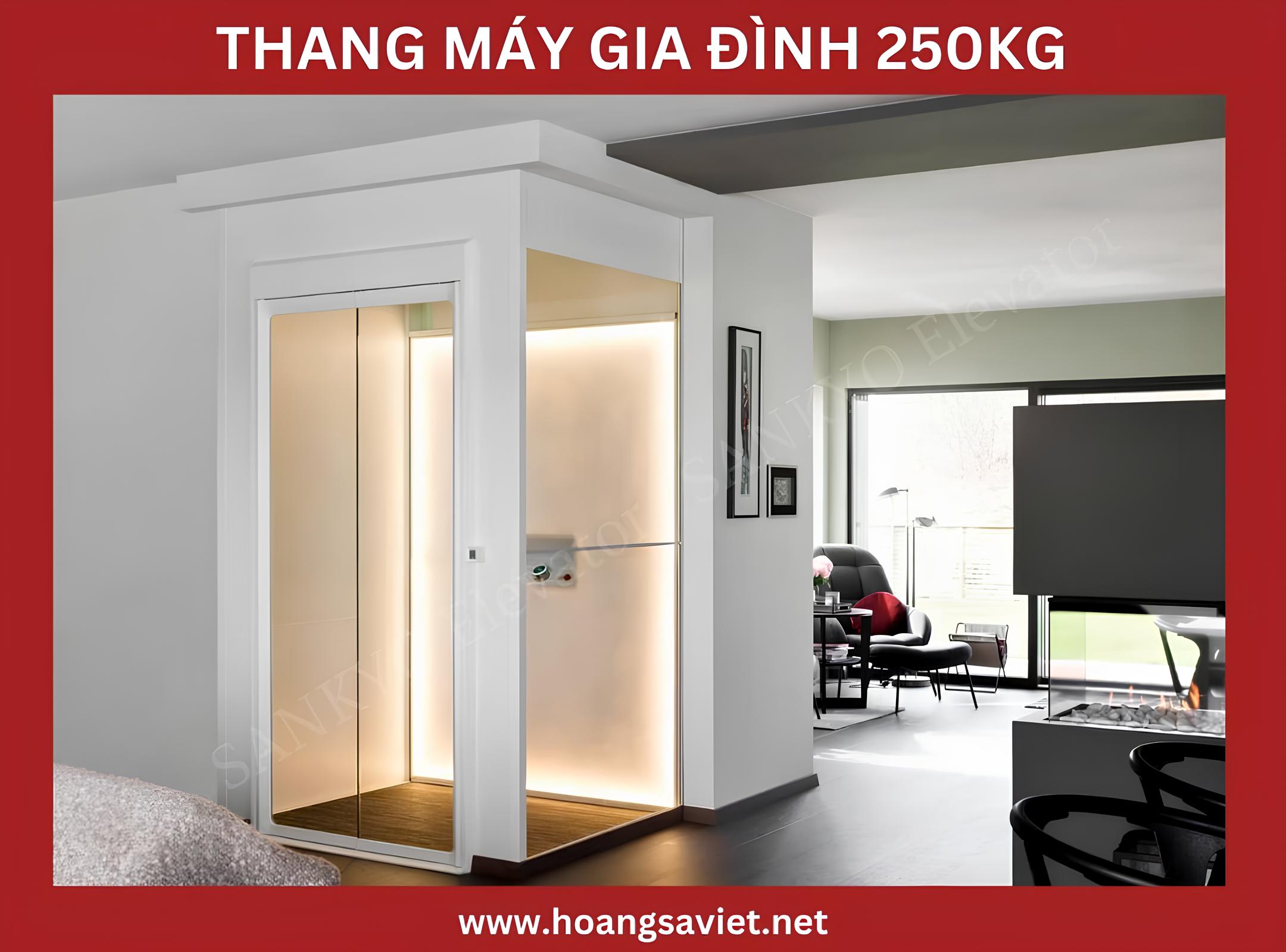 Mẫu thang máy gia đình 250kg Mẫu thang máy gia đình 250kg