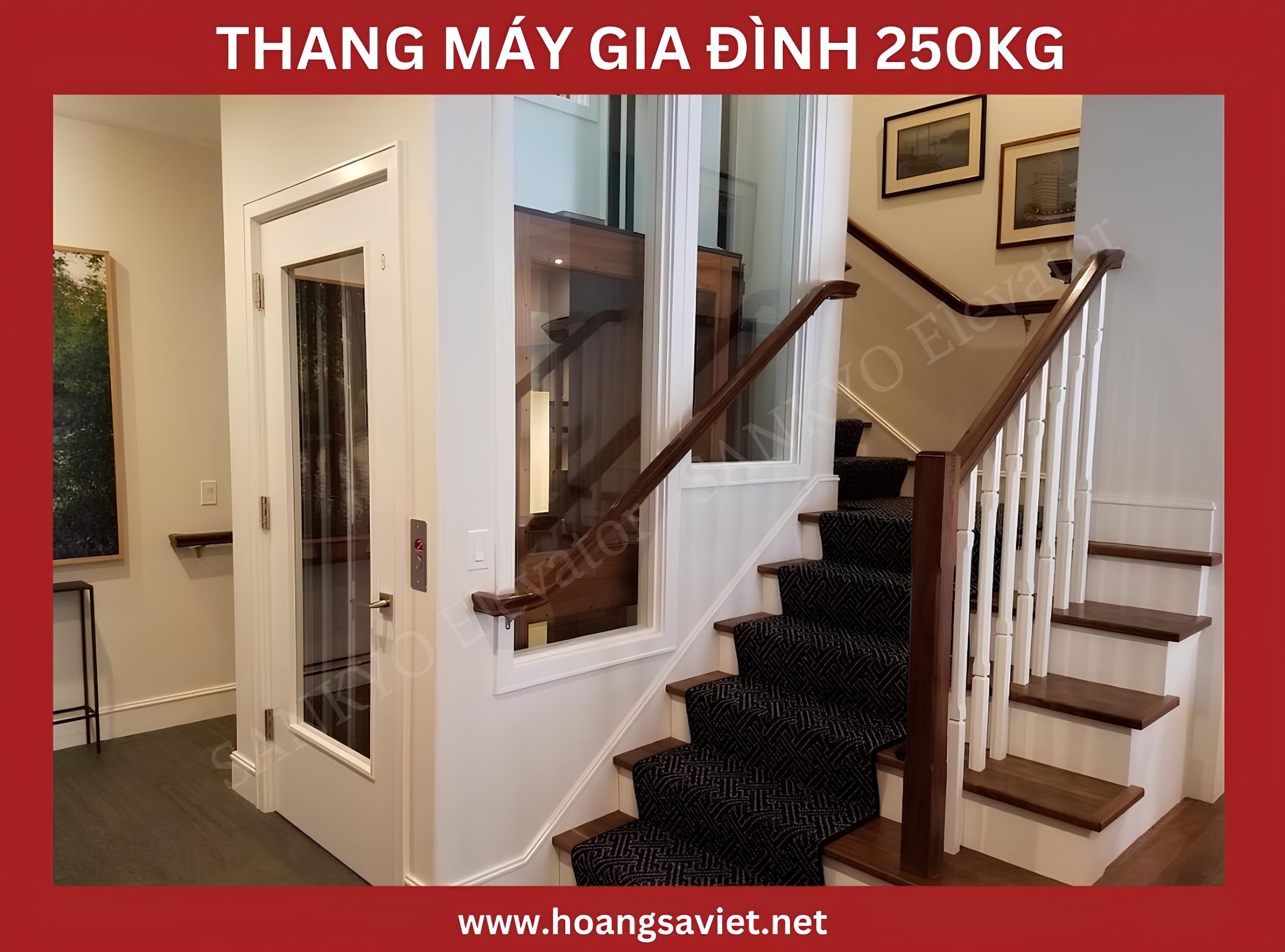 Mẫu thang máy gia đình 250kg Mẫu thang máy gia đình 250kg
