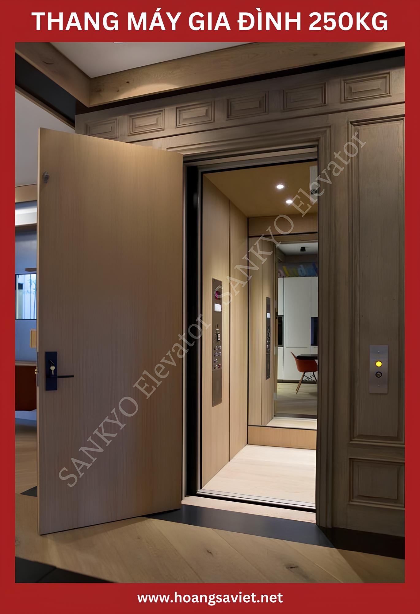 250kg family elevator model with wooden panel 250kg family elevator model with wooden panel