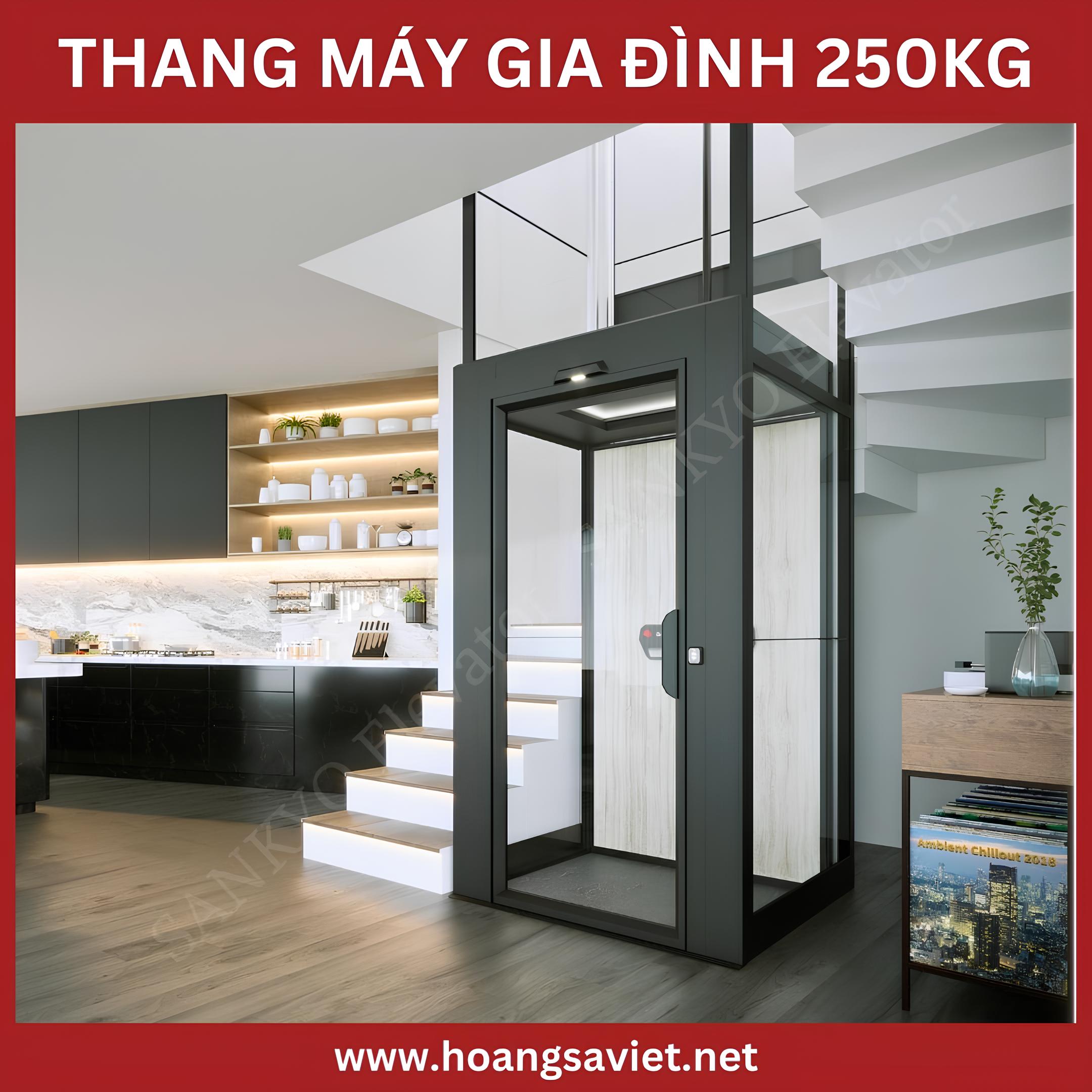 Thang máy gia đình 250kg Thang máy gia đình 250kg
