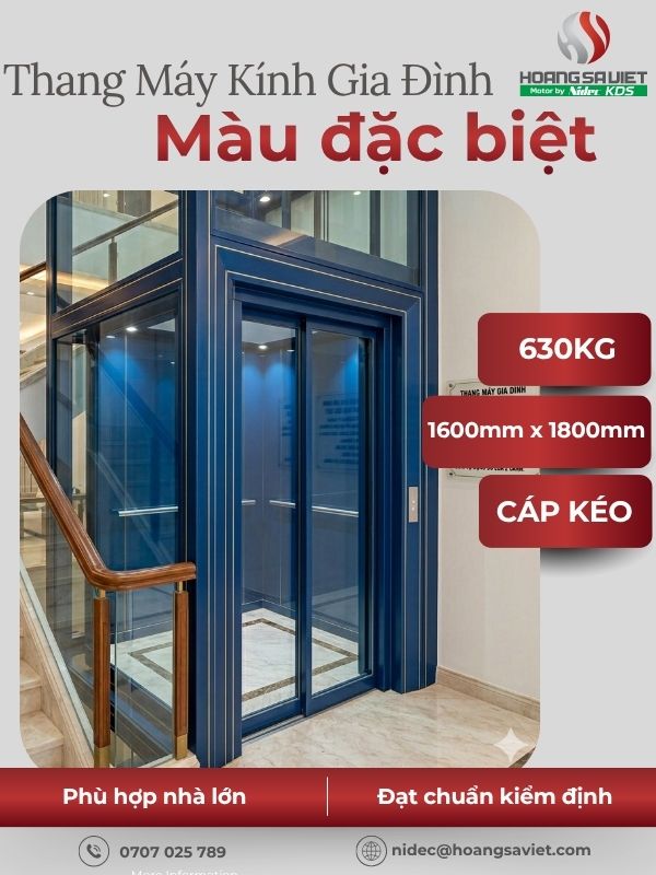 Thang máy kính gia đình 630kg màu đặc biệt 