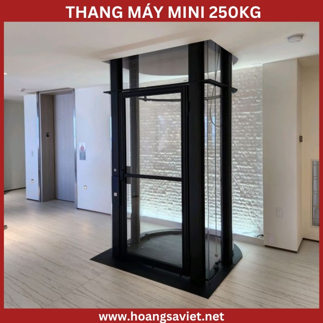 Hình ảnh minh hoạ thang máy mini 250kg Hình ảnh minh hoạ thang máy mini 250kg