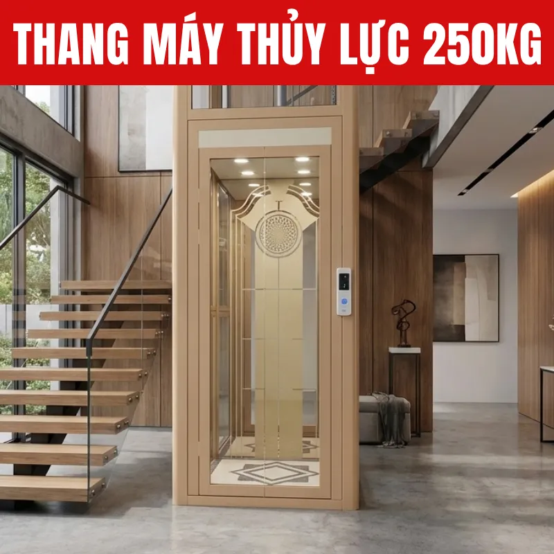Thang Máy Thủy Lực 250kg