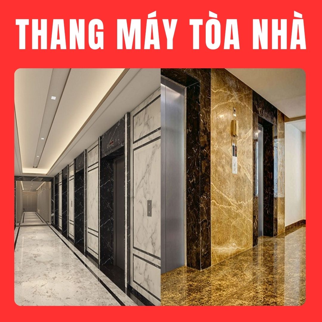 Thang máy tòa nhà Thang máy tòa nhà