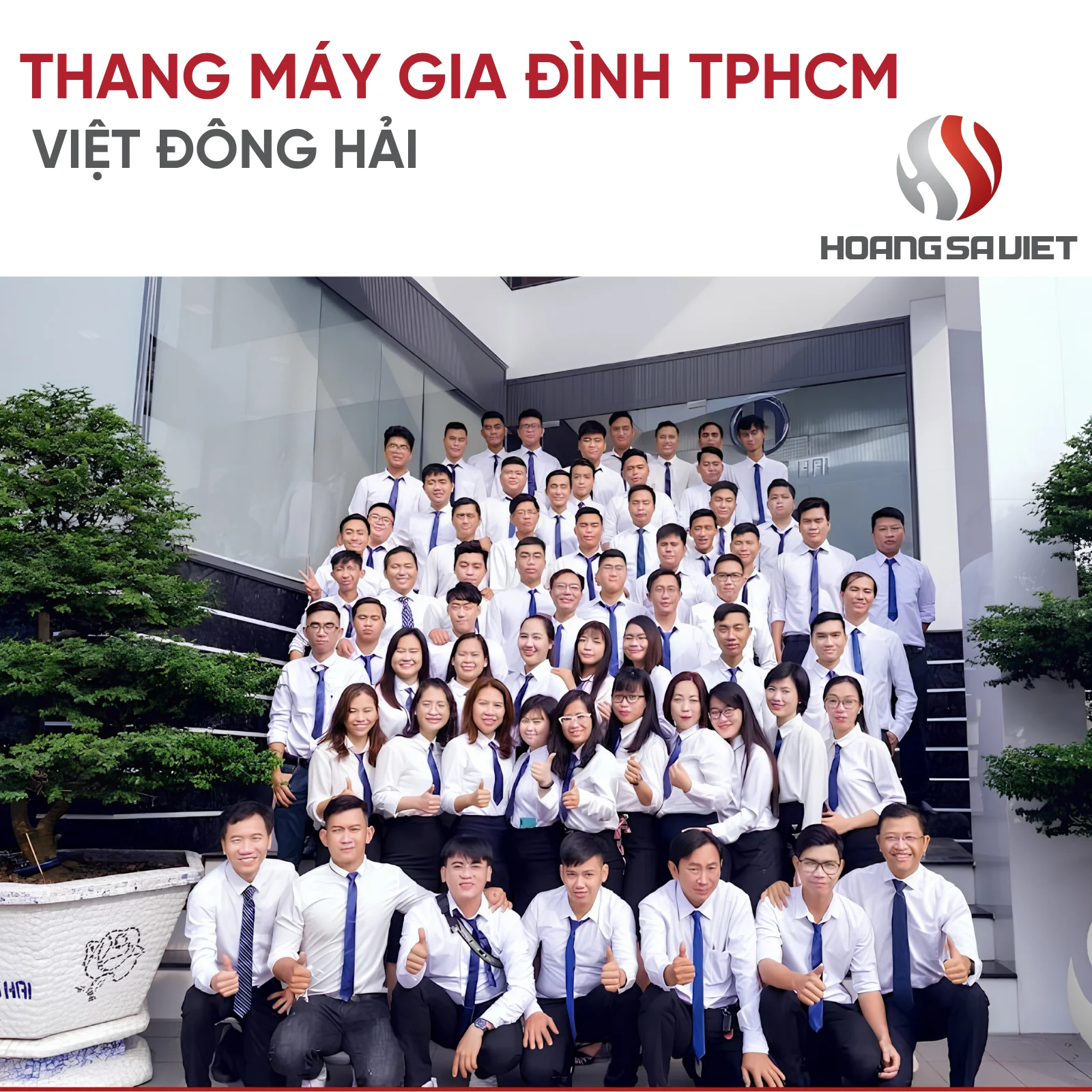 Công Ty TNHH Kỹ Thuật Tự Động Việt Đông Hải - Thang Máy Việt Đông Hải