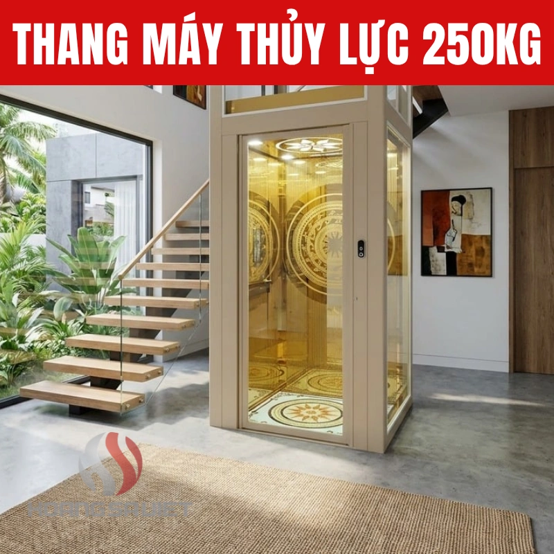Thang máy thủy lực 250kg có nhiều ưu điểm nổi bật