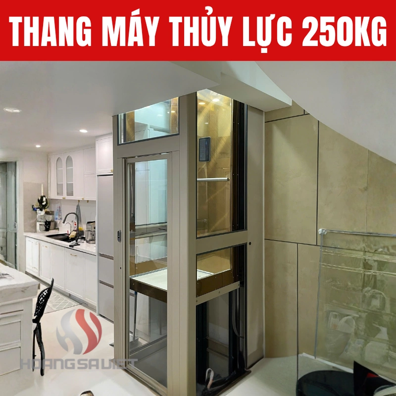 Thang máy thủy lực 250kg với thiết kế hiện đại, sang trọng