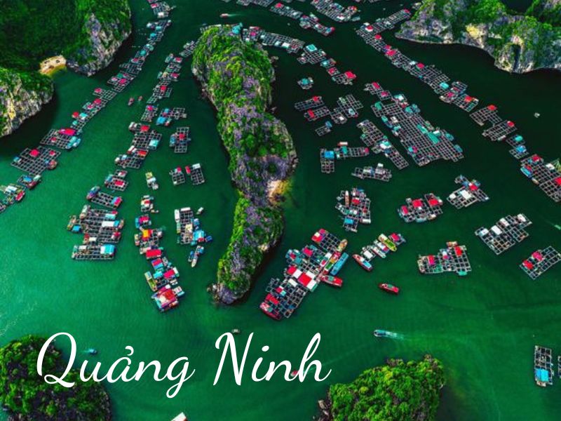 QUẢNG NINH
