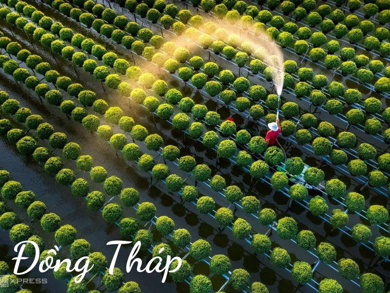 ĐỒNG THÁP