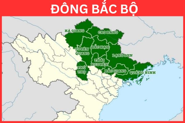 Northeast Region