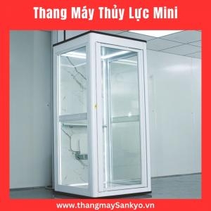 Giá Thang Máy Thủy Lực Mini 2 Tầng Giá Thang Máy Thủy Lực Mini 2 Tầng