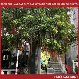 Top10 Cửa Hàng Sắt Thép, Sắt Xây Dựng, Thép Hộp Mạ Kẽm Tại Phú Yên Top10 Cửa Hàng Sắt Thép, Sắt Xây Dựng, Thép Hộp Mạ Kẽm Tại Phú Yên