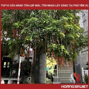 Top10 Cửa Hàng Tôn Lợp Mái, Tôn Nhựa Lấy Sáng Tại Phú Yên (9) Top10 Cửa Hàng Tôn Lợp Mái, Tôn Nhựa Lấy Sáng Tại Phú Yên (9)