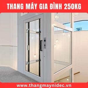 Thang Máy Gia Đình 250Kg ⭐Giá Mới 2025 Thang Máy Gia Đình 250Kg ⭐Giá Mới 2025