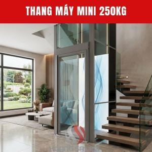 Thang Máy Mini 250Kg Cửa Tự Động