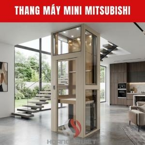 Pitless Screw Elevator Price (Mini)