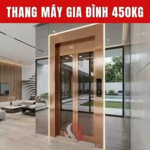 Thang Máy Gia Đình 450Kg