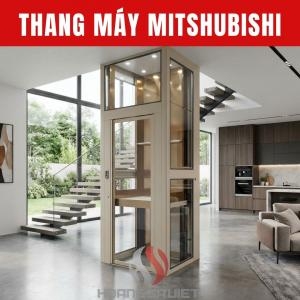 Pitless Screw Elevator Price (Mini)