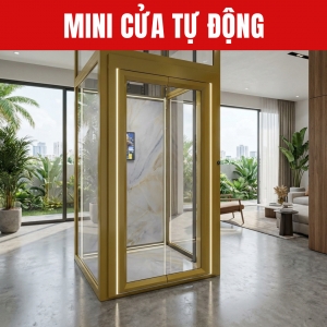 Thang Máy Thủy Lực 3 Tầng Cửa Tự Động