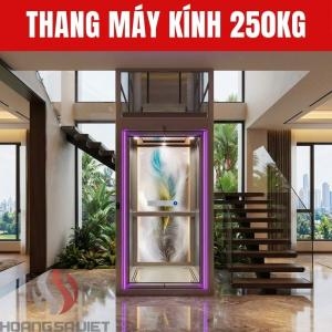 Thang Máy Kính 250Kg
