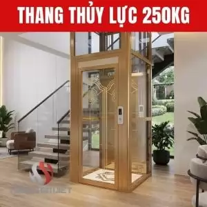 Thang Máy Thủy Lực 250Kg