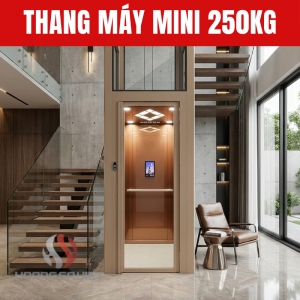 Thang Máy Mini 250Kg