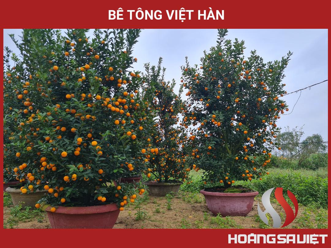 BÊ TÔNG VIỆT HÀN BÊ TÔNG VIỆT HÀN