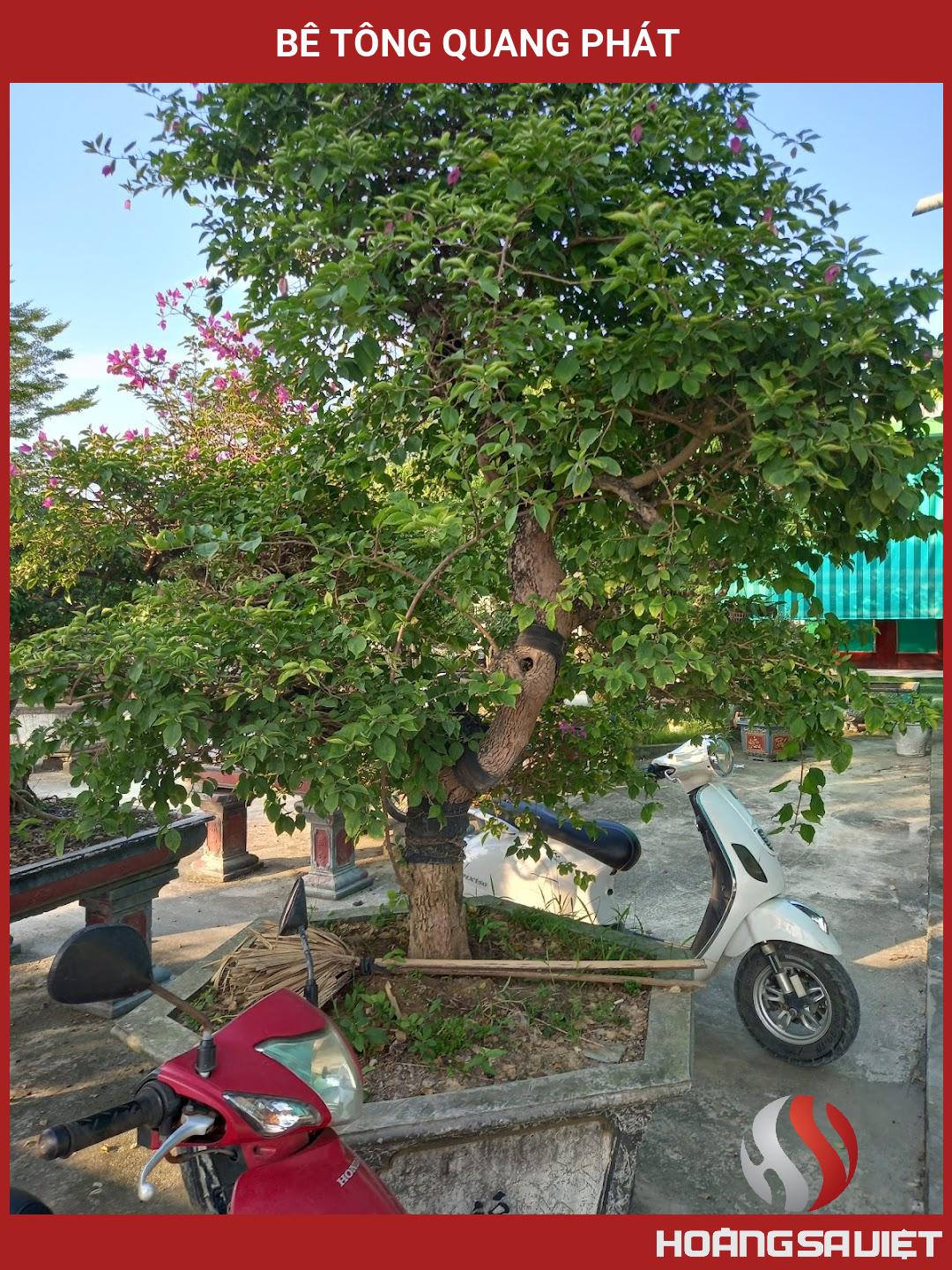 Bê Tông Quang Phát Bê Tông Quang Phát