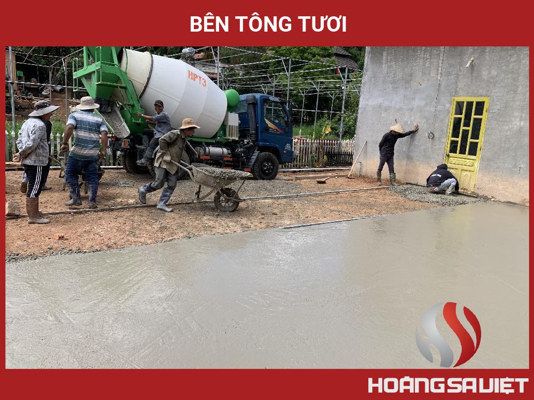 Bên Tông Tươi Bên Tông Tươi