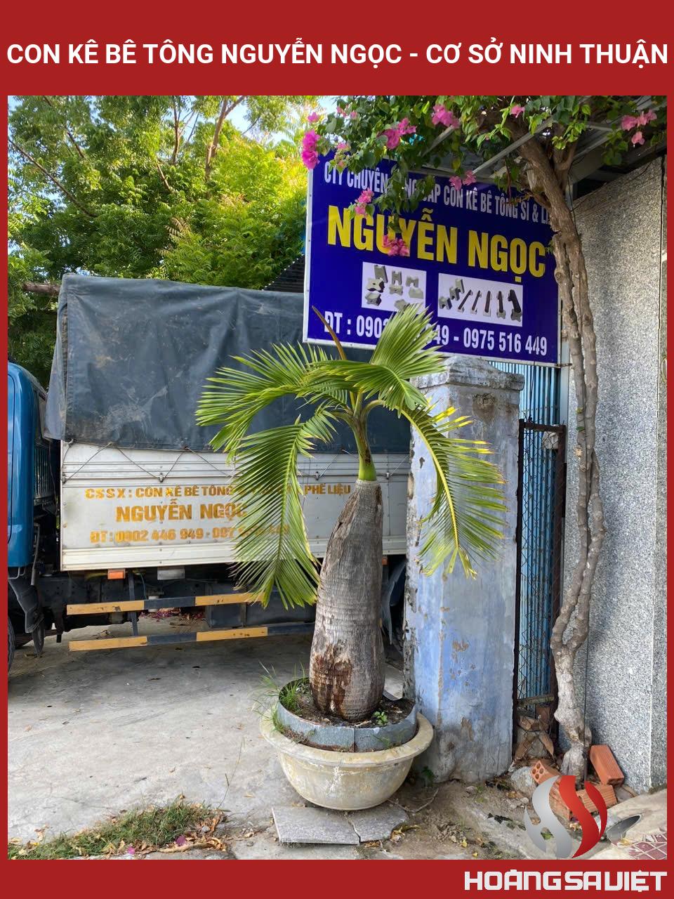Con Kê Bê Tông Nguyễn Ngọc - Cơ Sở Ninh Thuận Con Kê Bê Tông Nguyễn Ngọc - Cơ Sở Ninh Thuận