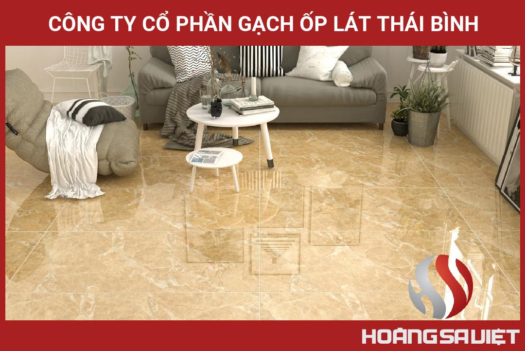 Công Ty Cổ Phần Gạch Ốp Lát Thái Bình Công Ty Cổ Phần Gạch Ốp Lát Thái Bình