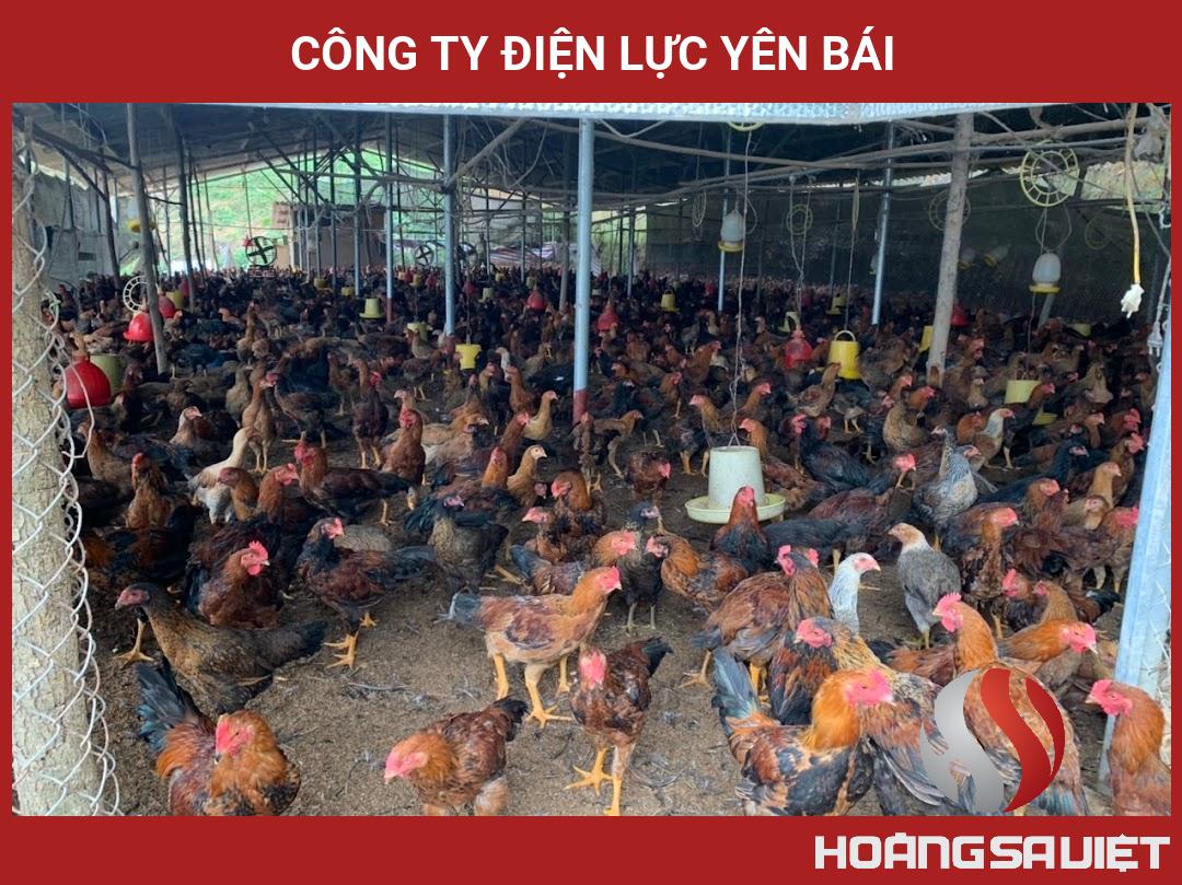 Công Ty Điện Lực Yên Bái Công Ty Điện Lực Yên Bái