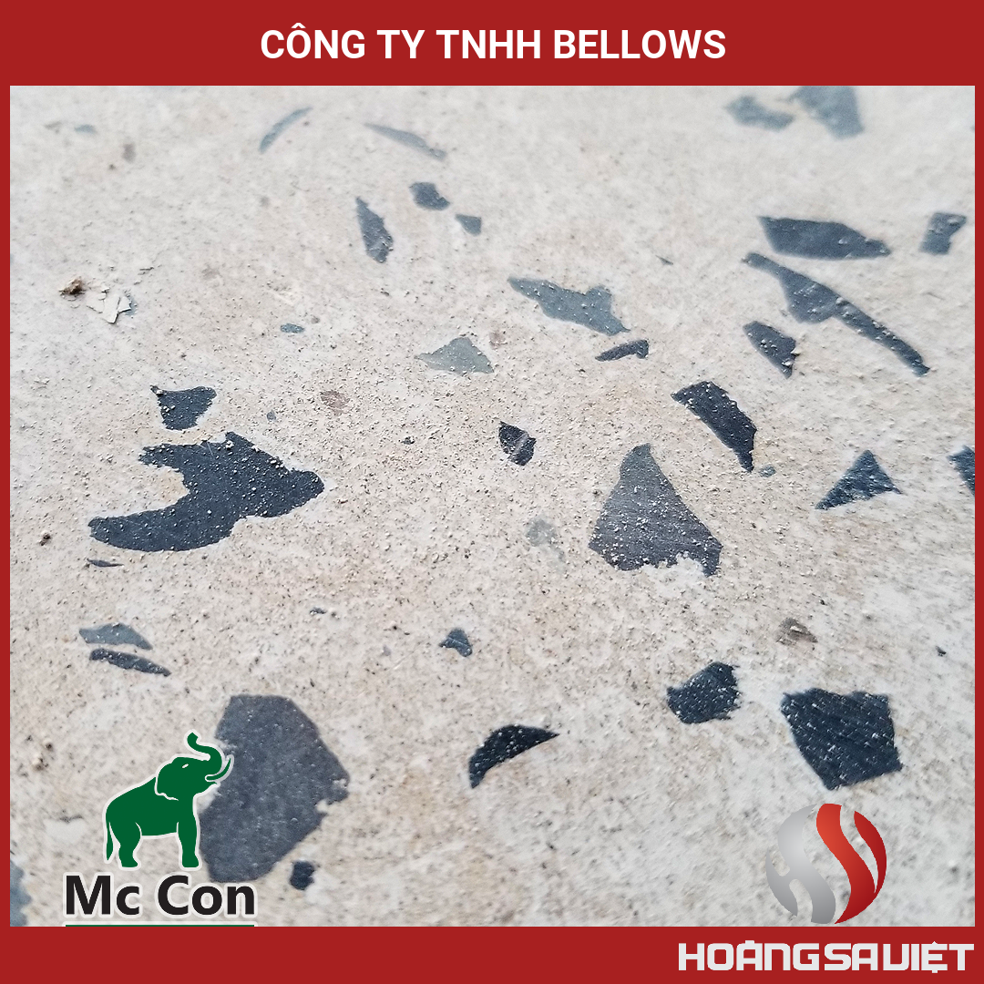 Công Ty TNHH Bellows Công Ty TNHH Bellows